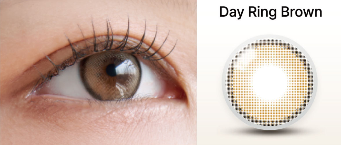 Day Ring (BROWN, GRAY) 产品图片